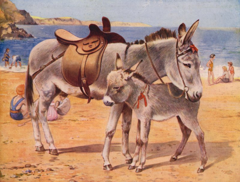 Seaside åsnor (färg litho) av English School