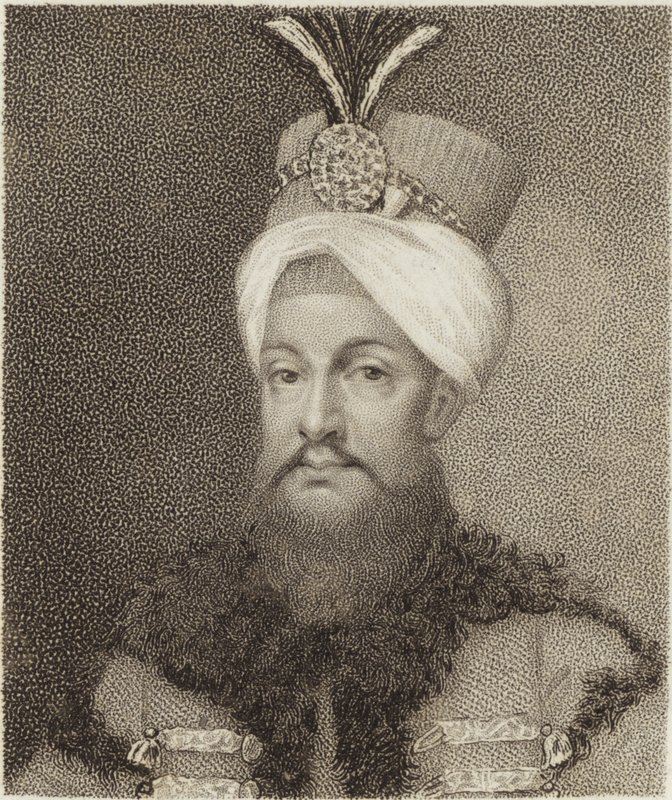 Selim II av English School