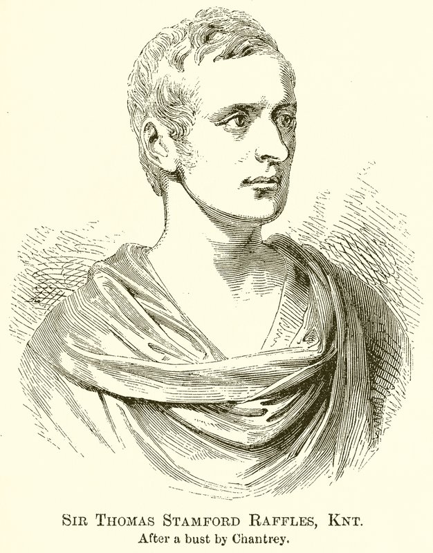 Sir Thomas Stamford Raffles, Knt av English School