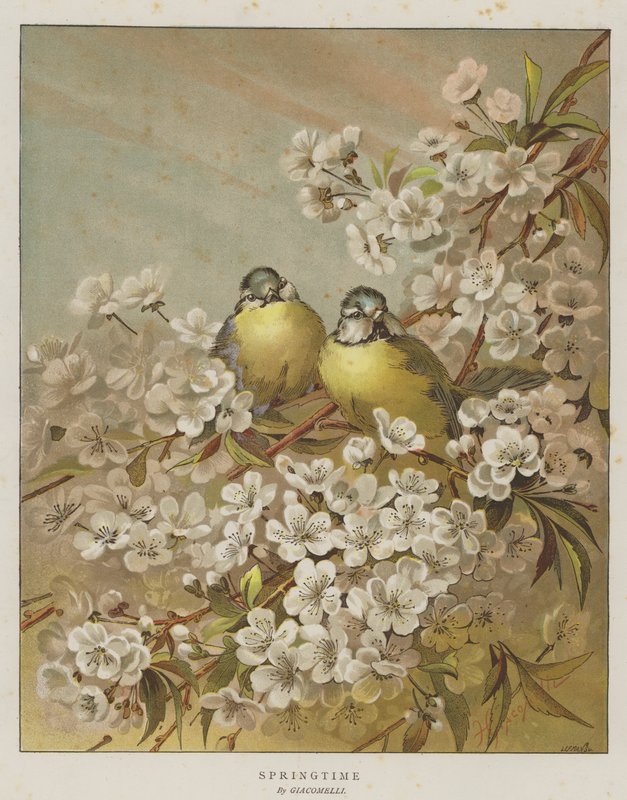 Springtime (kromolit) av English School