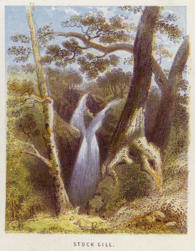Stock Gill (färg litho) av English School