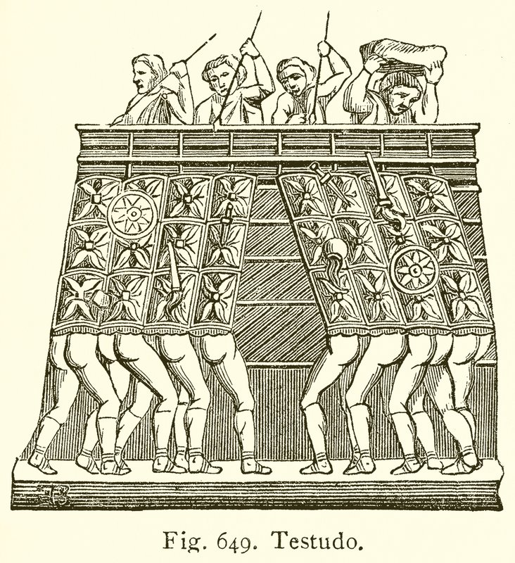 Testudo av English School