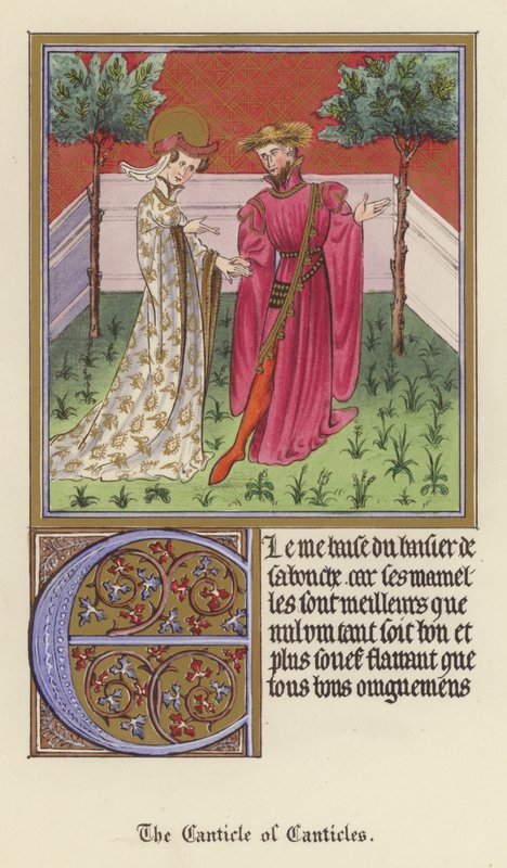 The Canticle of Canticles (färg litho) av English School