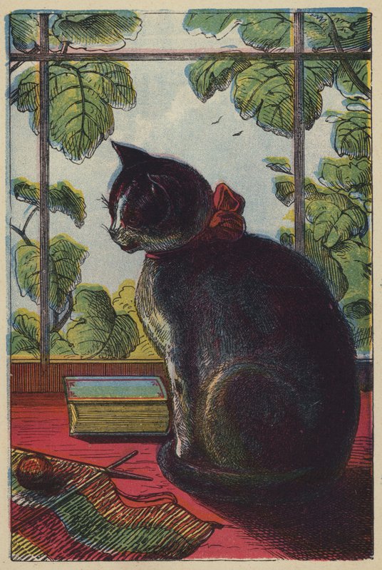 Katten (färglitografi) av English School