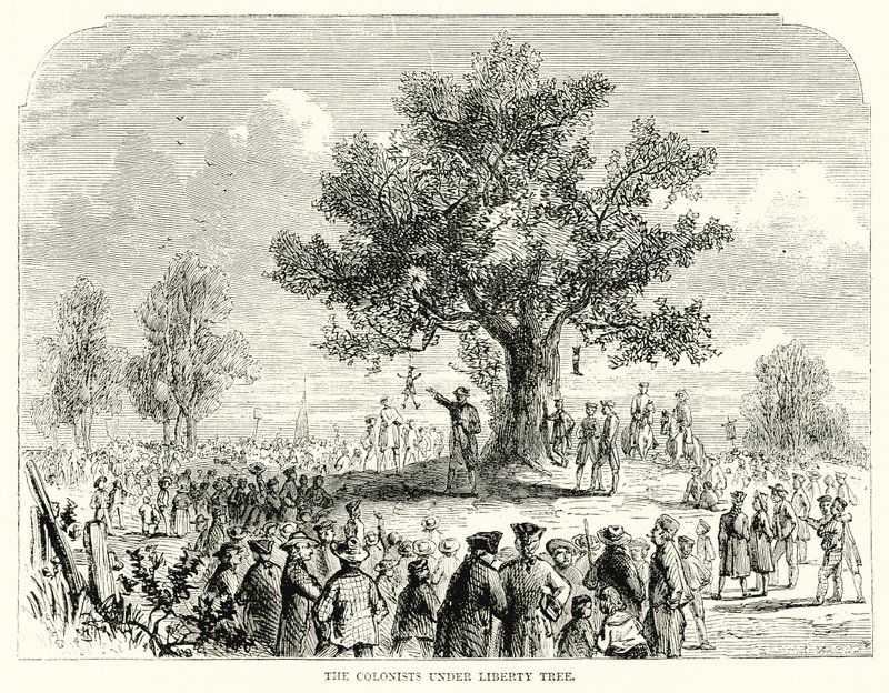 The Colonists under Liberty Tree (gravyr) av English School