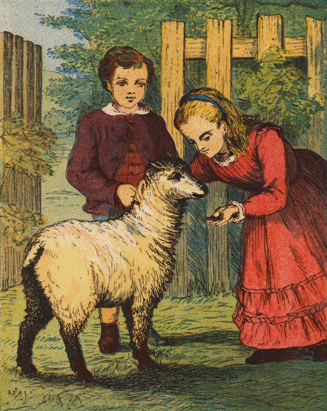 Lammet "Gökungen" (färglitografi) av English School