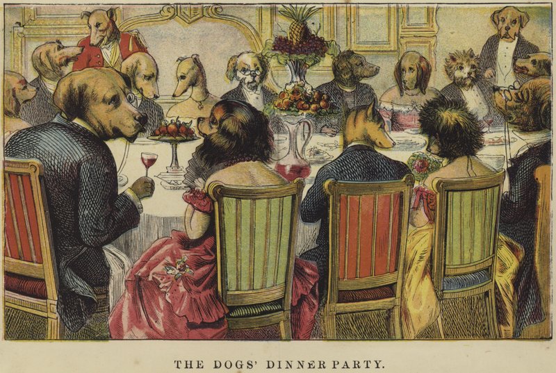 The Dogs Dinner Party av English School