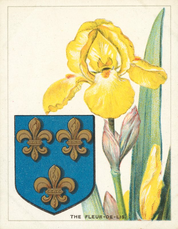 Fleur-de-lis (kromolit) av English School