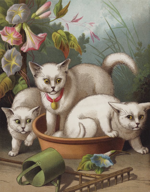 The Frightened Kittens (chromolitho) av English School