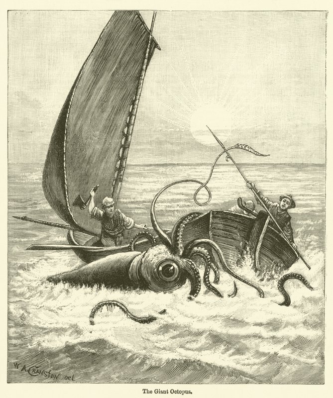 The Giant Octopus (gravyr) av English School