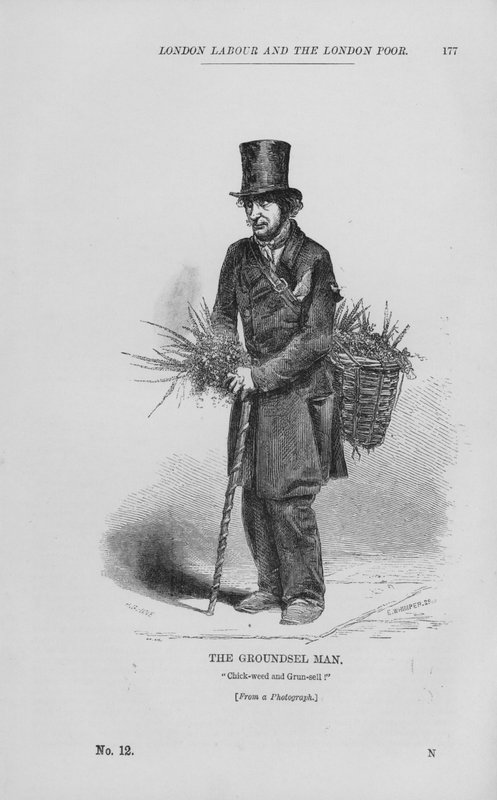 The Groundsel Man (gravyr) av English School