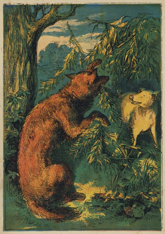 The House of Furze (färg litho) av English School
