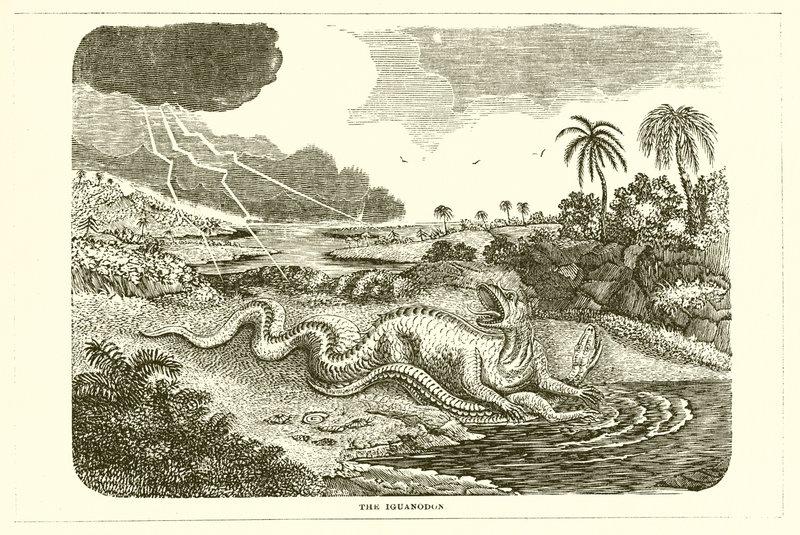 Iguanodon av English School