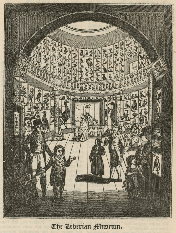 Leverianmuseet av English School
