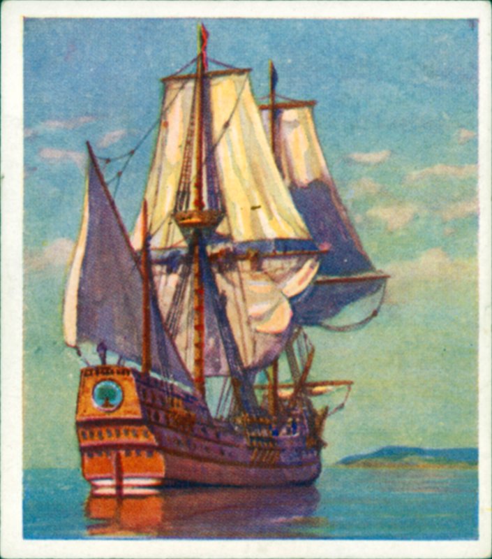 "Majblomman" (färglitografi) av English School