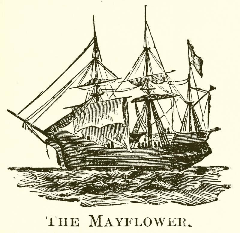 Majblomman av English School
