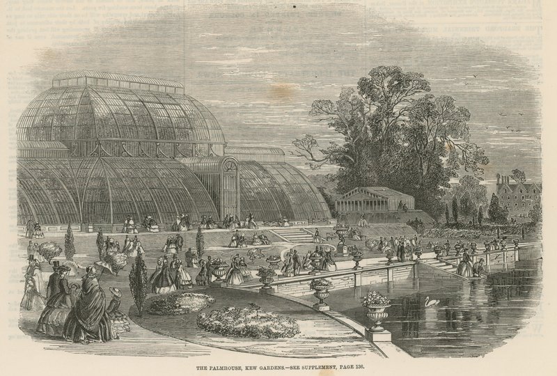 Palmhuset, Kew Gardens, London av English School