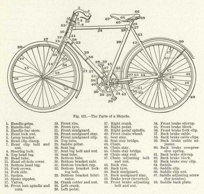 Delarna av en cykel av English School