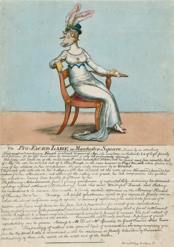 The Pig-Faced Lady of Manchester Square, London av English School