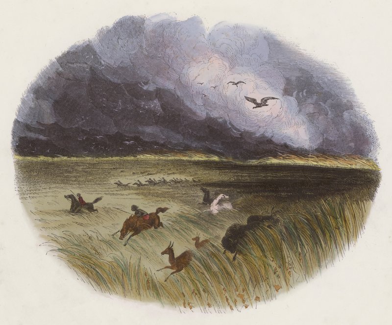 The Prairie on Fire (färgad gravyr) av English School