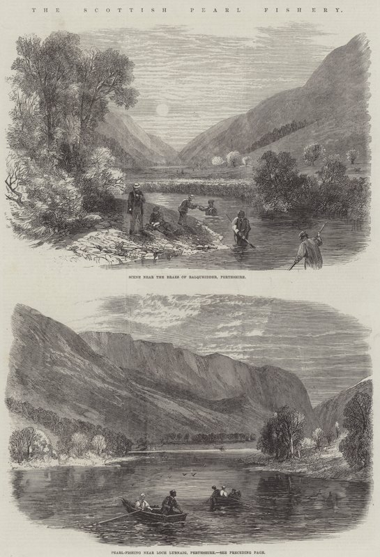 The Scottish Pearl Fishery (gravyr) av English School