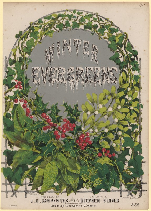 Winter Evergreens av English School