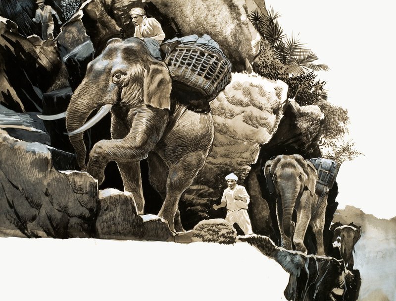 Elephant Bills elefantvandring av English School