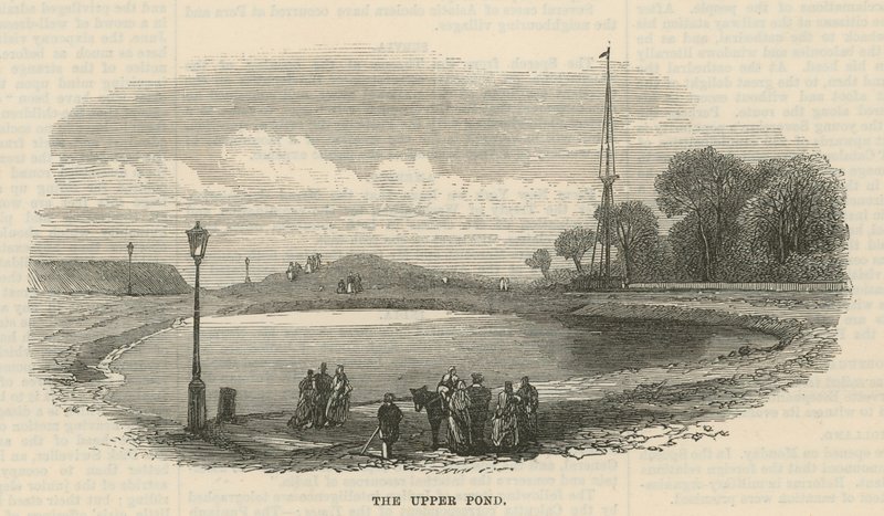 Den övre dammen, Hampstead Heath av English School