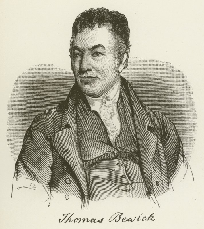 Thomas Bewick (gravyr) av English School