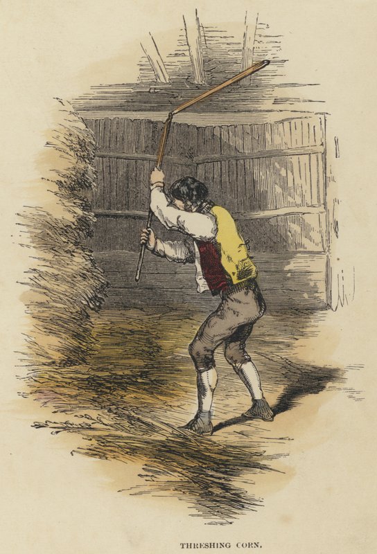 Tröska majs (färgad gravyr) av English School
