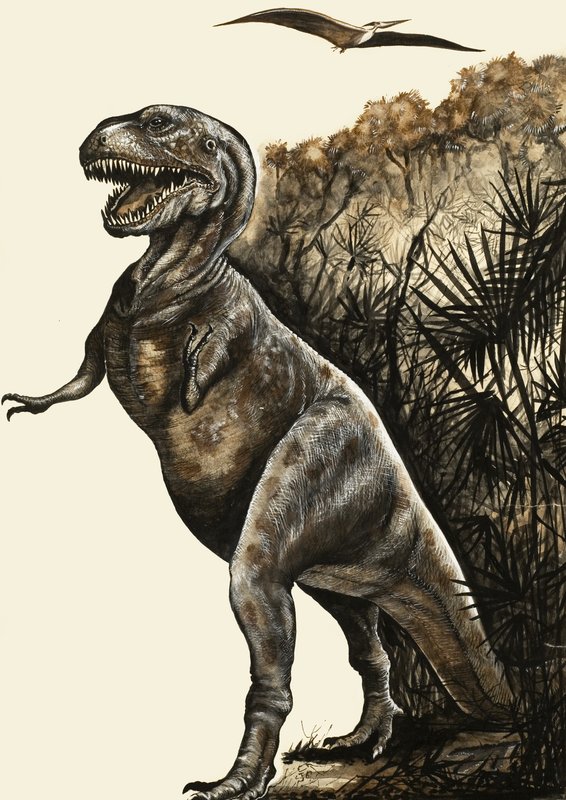 Tyrannosaurus Rex av English School