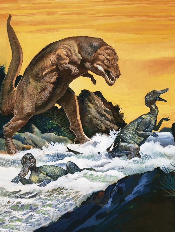 Tyrannosaurus Rex attackerar av English School