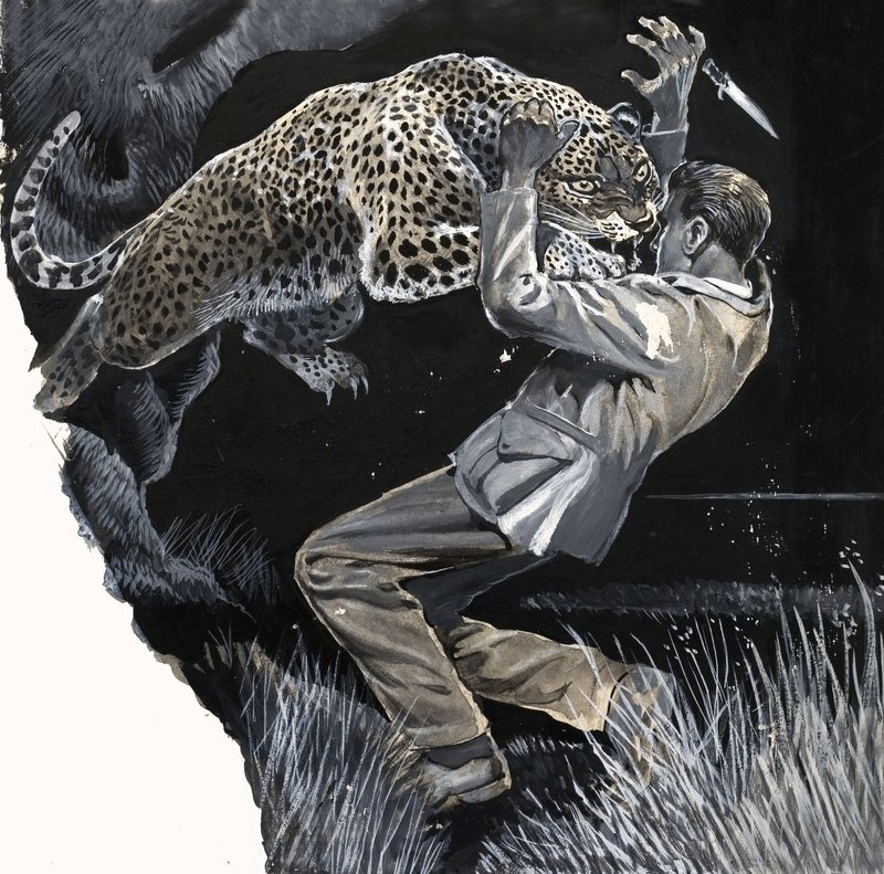 Oidentifierad man attackeras av en leopard av English School