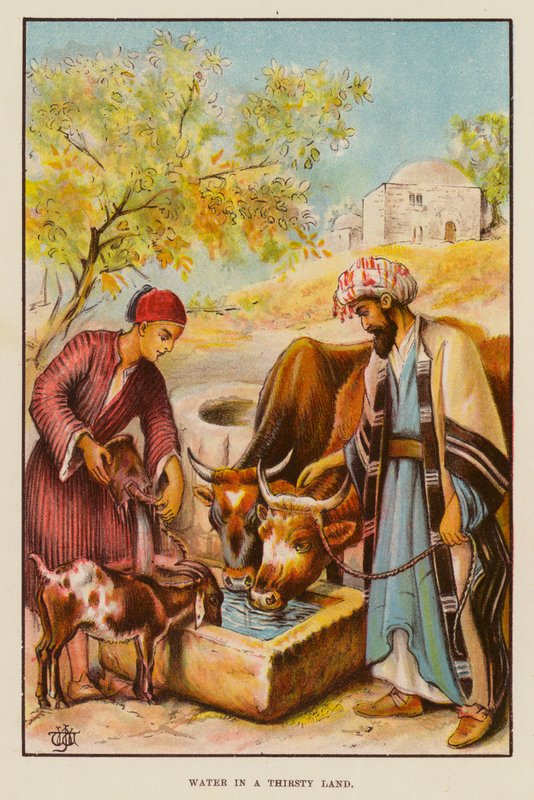 Vatten i ett törstigt land (färg litho) av English School
