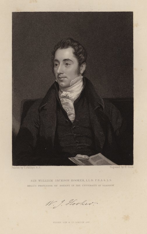 William Jackson Hooker av English School