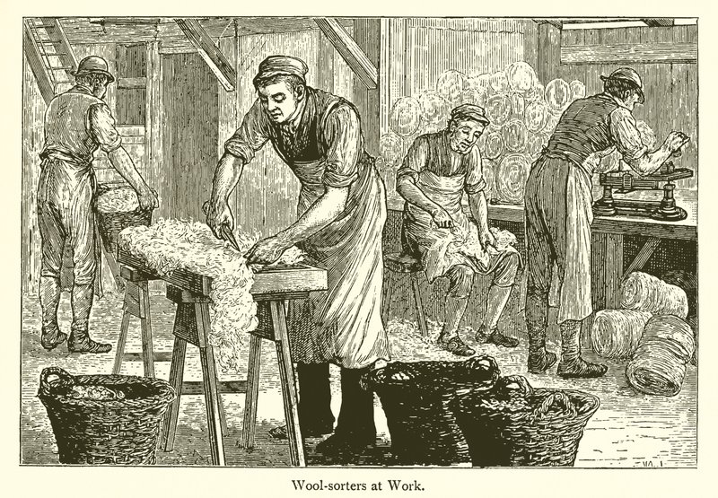 Wool-Sorters av English School