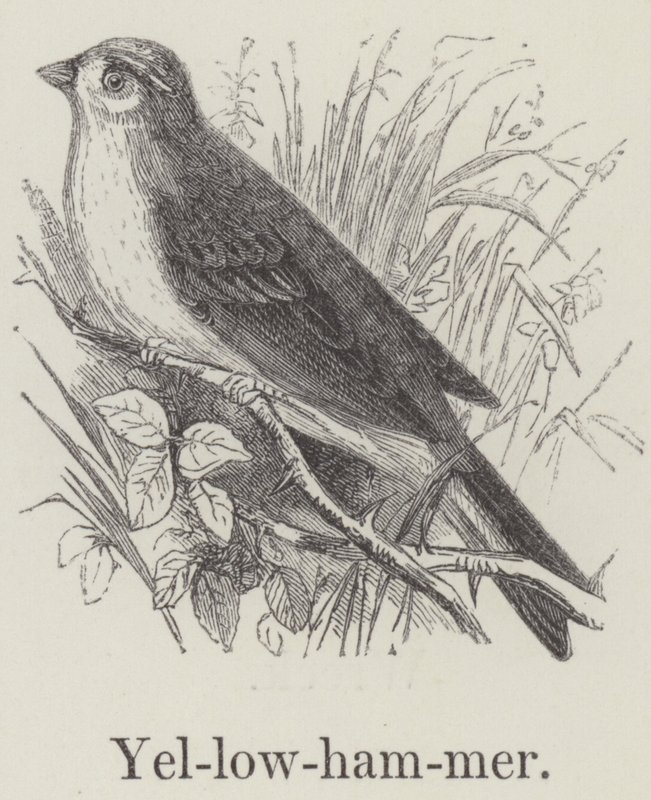 Yellowhammer (gravyr) av English School