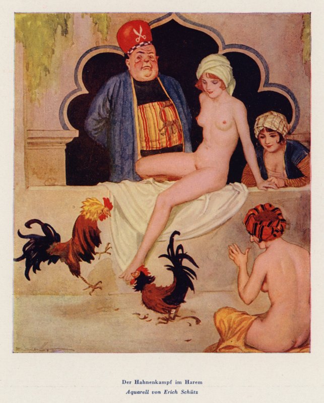 Tuppkampen i harem (akvarell) av Erich Schutz
