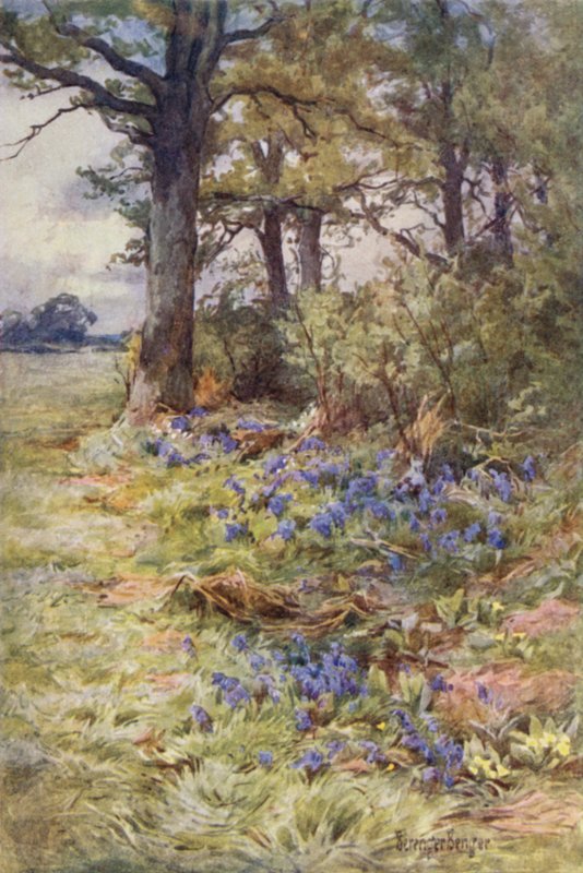 Fransar av Doftskogen av Ernest Benger or Berenger