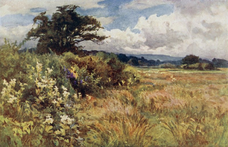 Rising Ground av Ernest Benger or Berenger