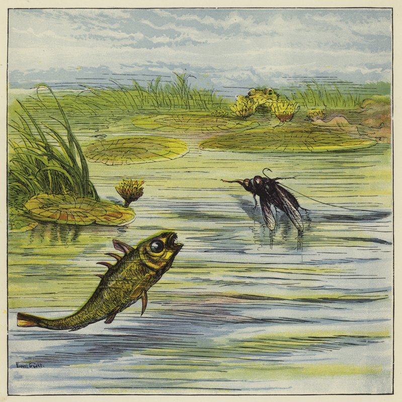 Fiska och flyga av Ernest Henry Griset
