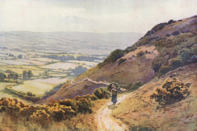Ballard Down, Swanage (färgmedlemmar) av Ernest William Haslehust