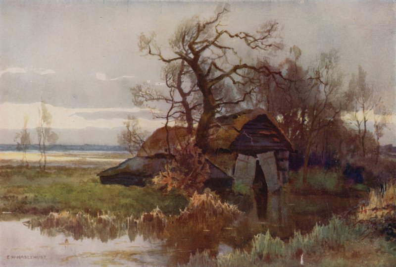 Old Boat-Houses, Barton Broad (färg litho) av Ernest William Haslehust