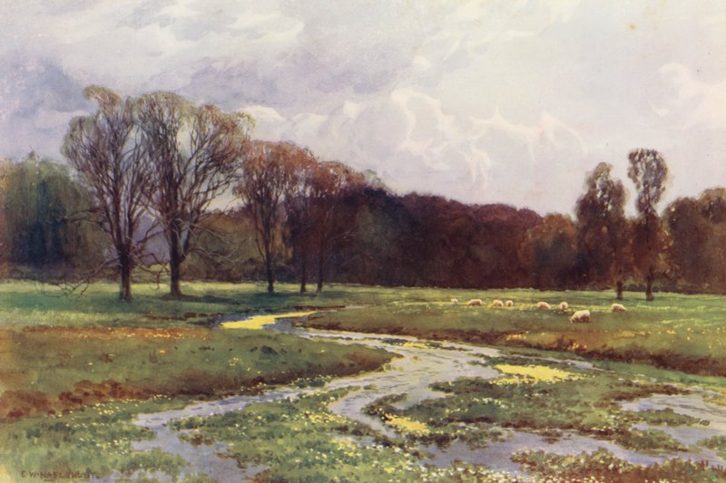 Floden Themsen: Thames Head (färglitografi) av Ernest William Haslehust