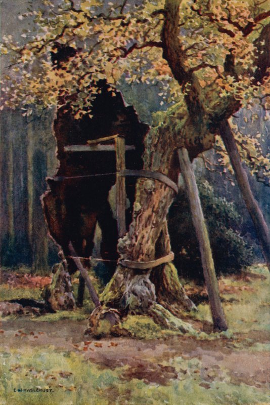 Robin Hoods skafferi (litho i färg) av Ernest William Haslehust
