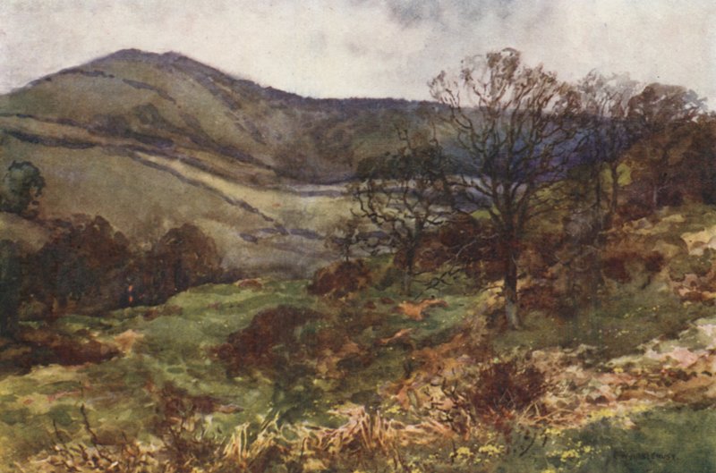 Shanklin Down, tidig vår (litho i färg) av Ernest William Haslehust