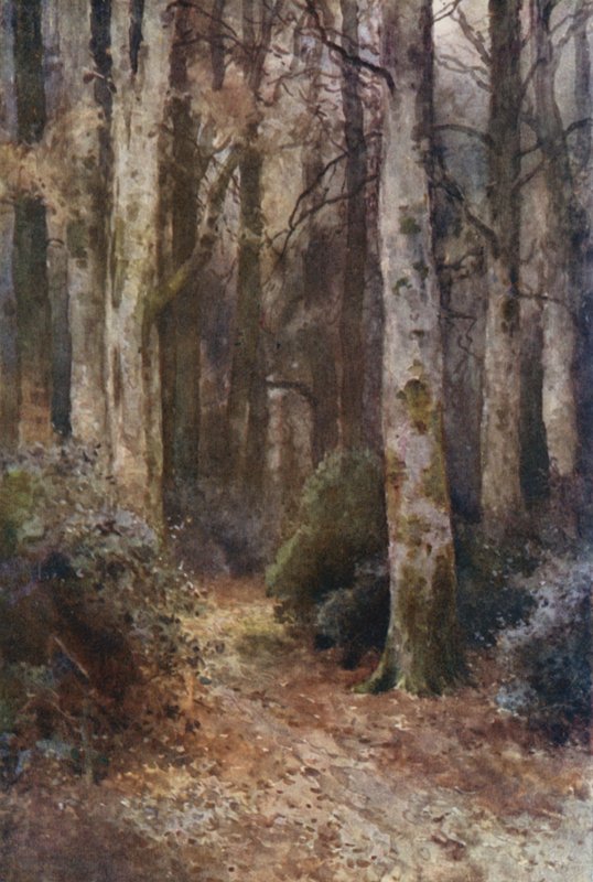 "Katedralen" (färg litho) av Ernest William Haslehust