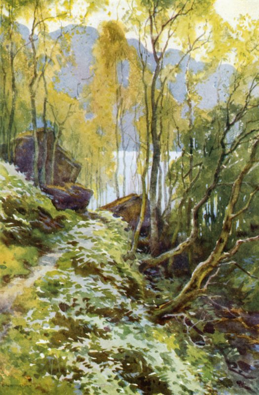Det gamla passet, Trossachs (färg litho) av Ernest William Haslehust
