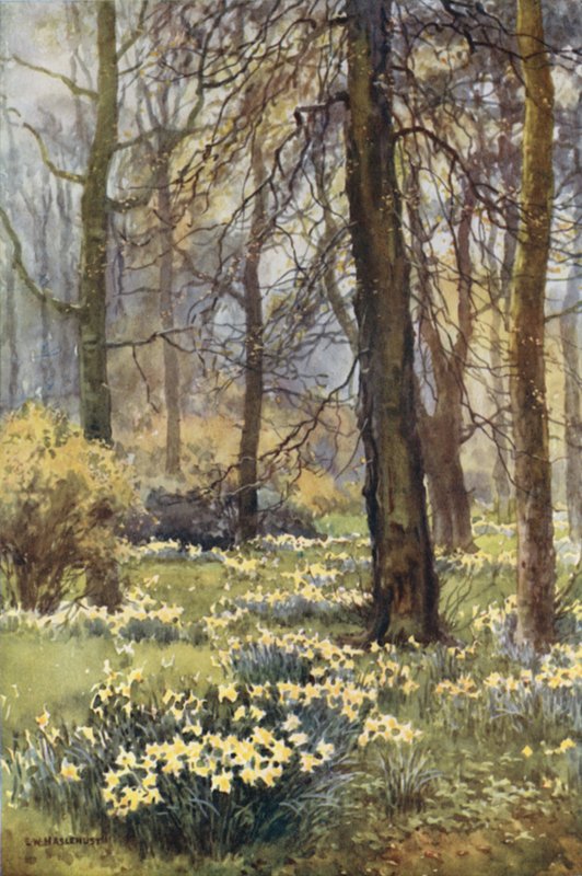 Vildmarken på våren (färg litho) av Ernest William Haslehust
