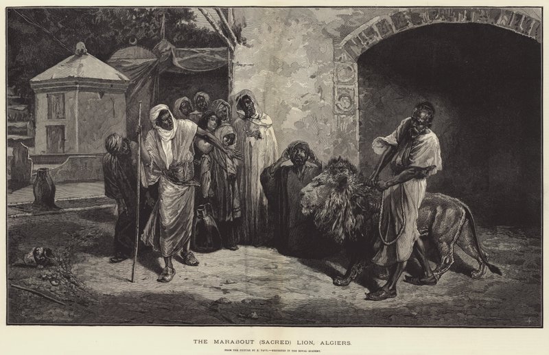 Marabout Heliga Lejon, Alger gravyr av Eugene Pavy